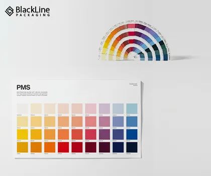 Ultimate Guide – What is PMS Color?